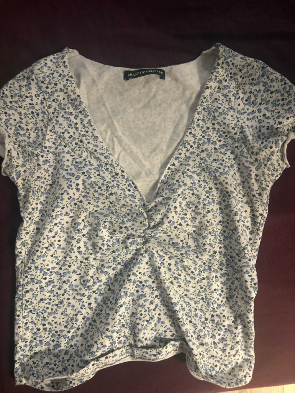 Brandy Melville White Top with Blue Floral Knot Front